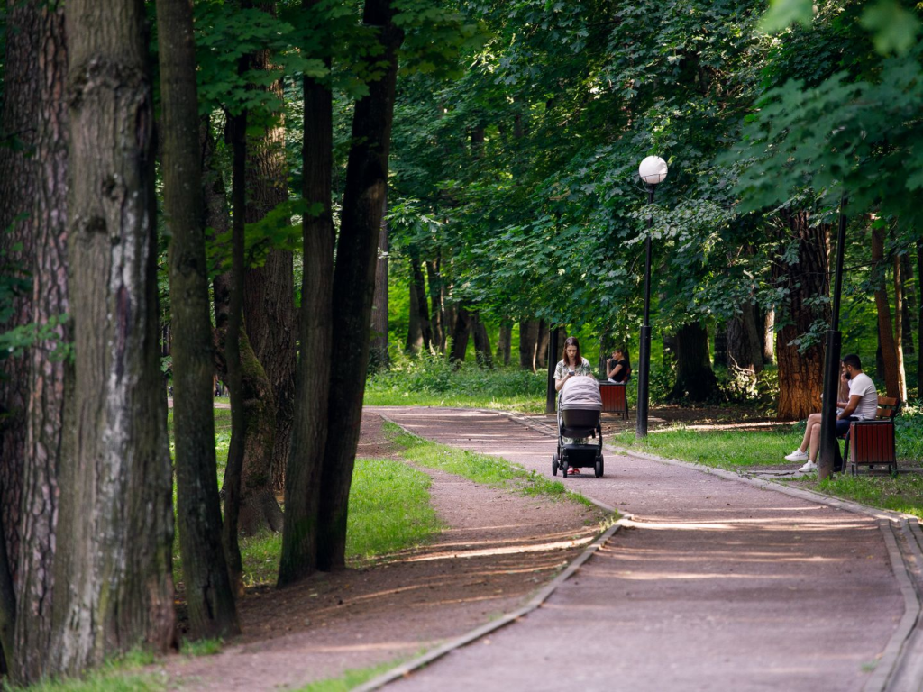 В Пущине обработали улицы и парки от клещей