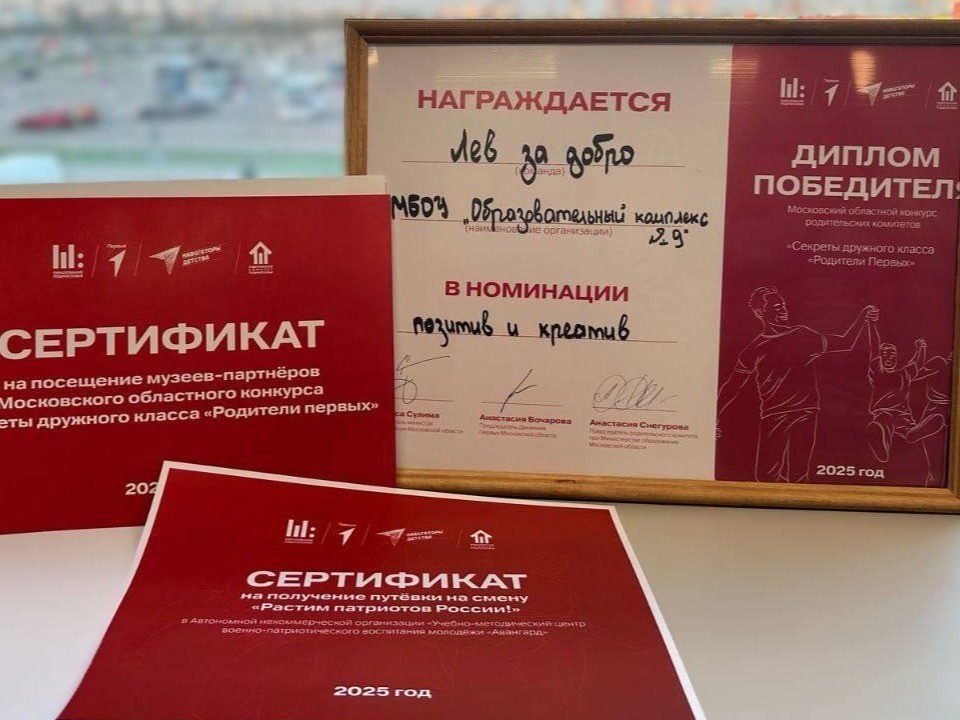Пушкинская команда победила во всероссийском конкурсе Движения Первых