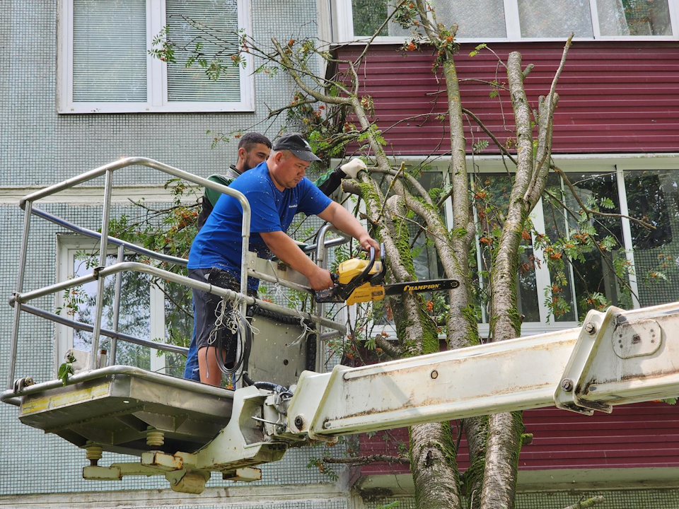 Упавшие на дом на Вокзальной площади деревья распилили