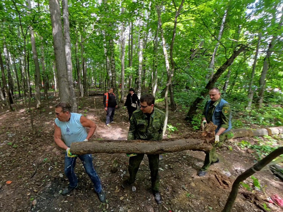 Более гектара леса очистили от мусора в Пушкинском округе
