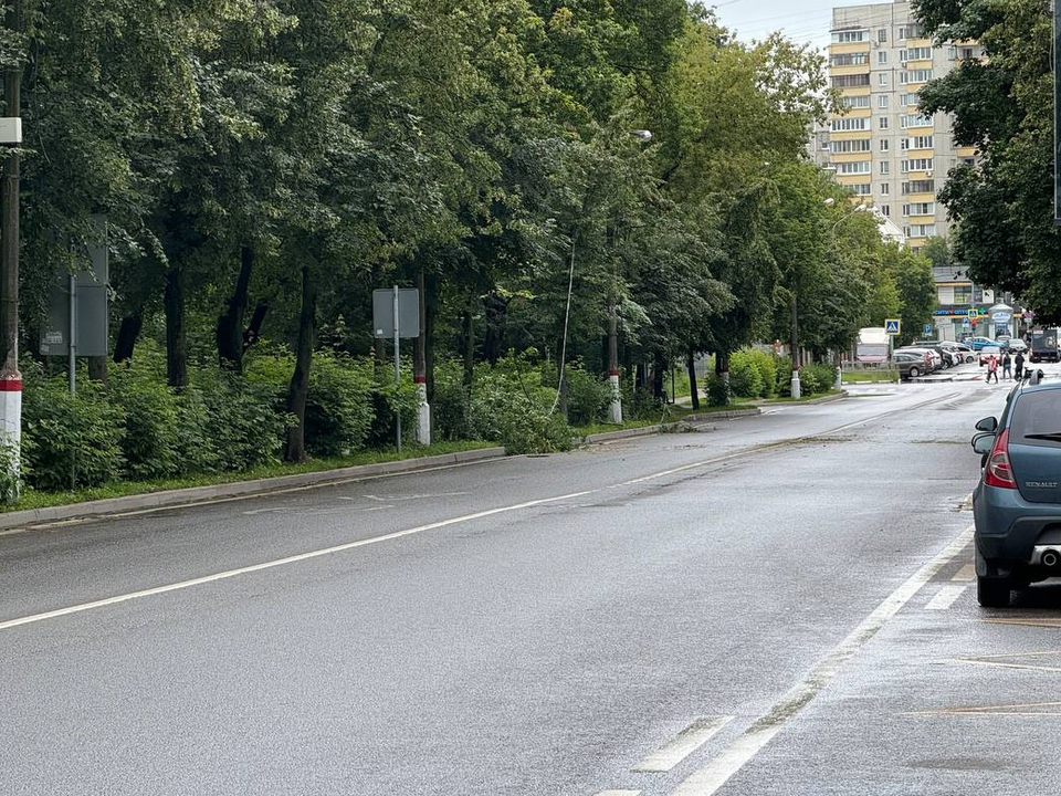 На улице Дугина восстановили движение, парализованное упавшим деревом
