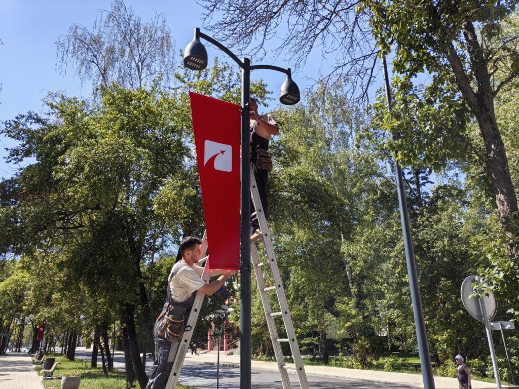 Что за необычные флаги повесили на улицах Дубны перед Днем города