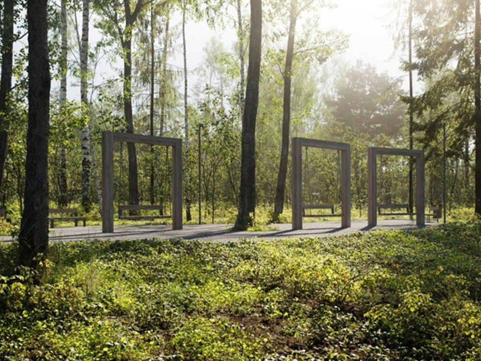 В Пушкинском округе в «Банном лесу» начали санитарную очистку под будущие аллеи