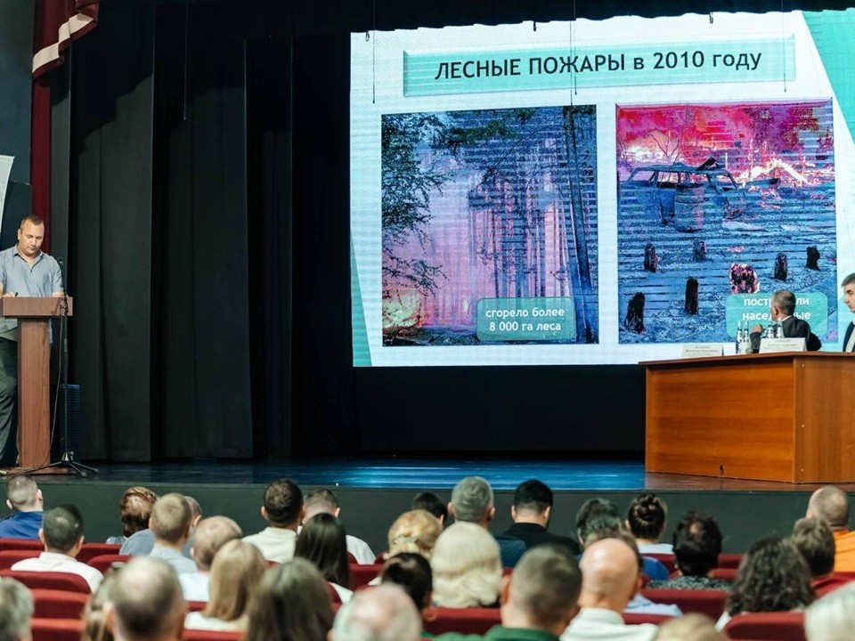 В Орехово-Зуевском округе запустят пилотный проект по оздоровлению лесов