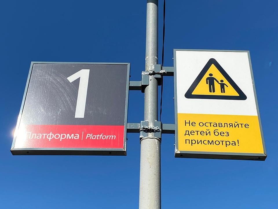 Жительница Кубинки спасла пса, ехавшего в электричке из Петелино