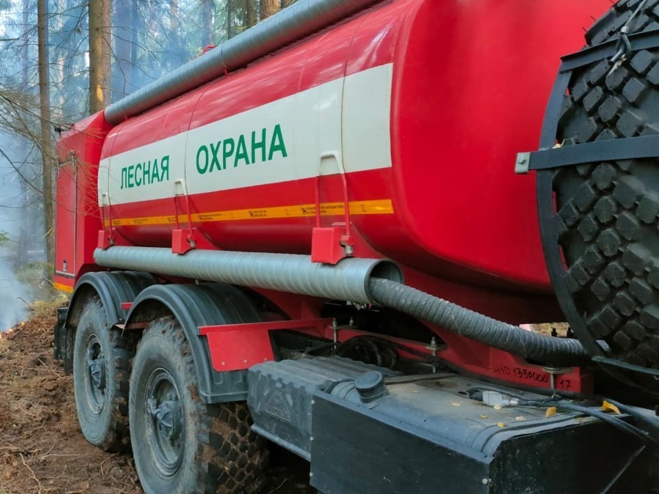 Лесопожарная обстановка в Подмосковье за 3 июля и прогноз на 4-6 июля