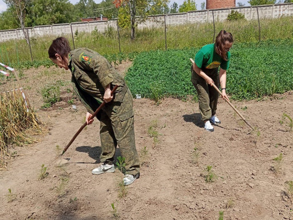 Прополка вместо пляжа: юннаты в Малине ухаживают за редкими деревьями даже на каникулах