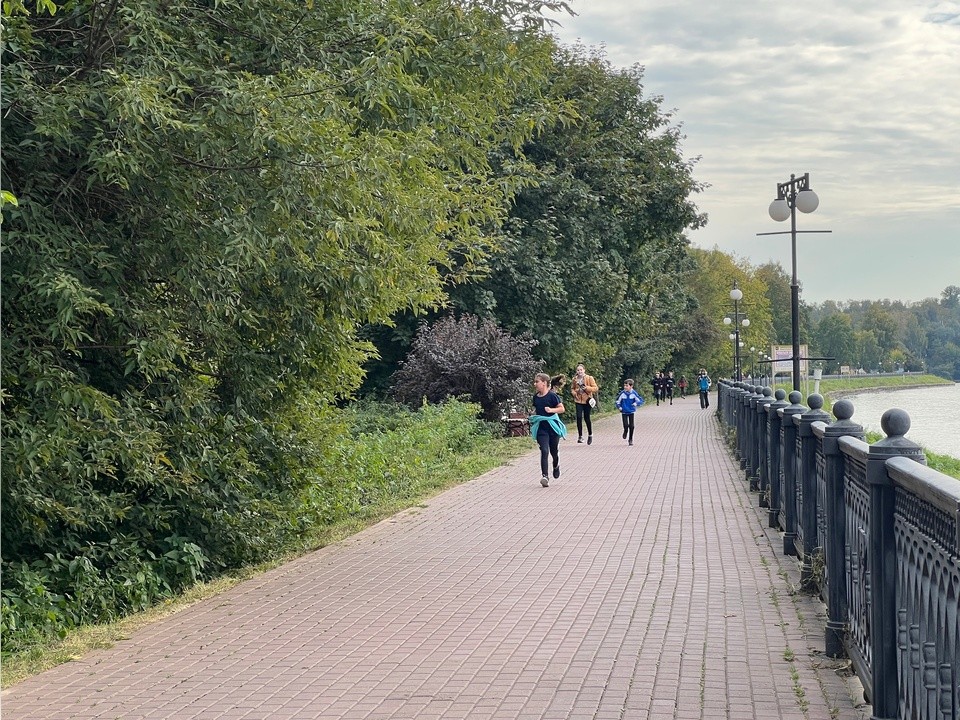 Кот Ученый и Маленький принц теперь украшают деревья парка в Химках