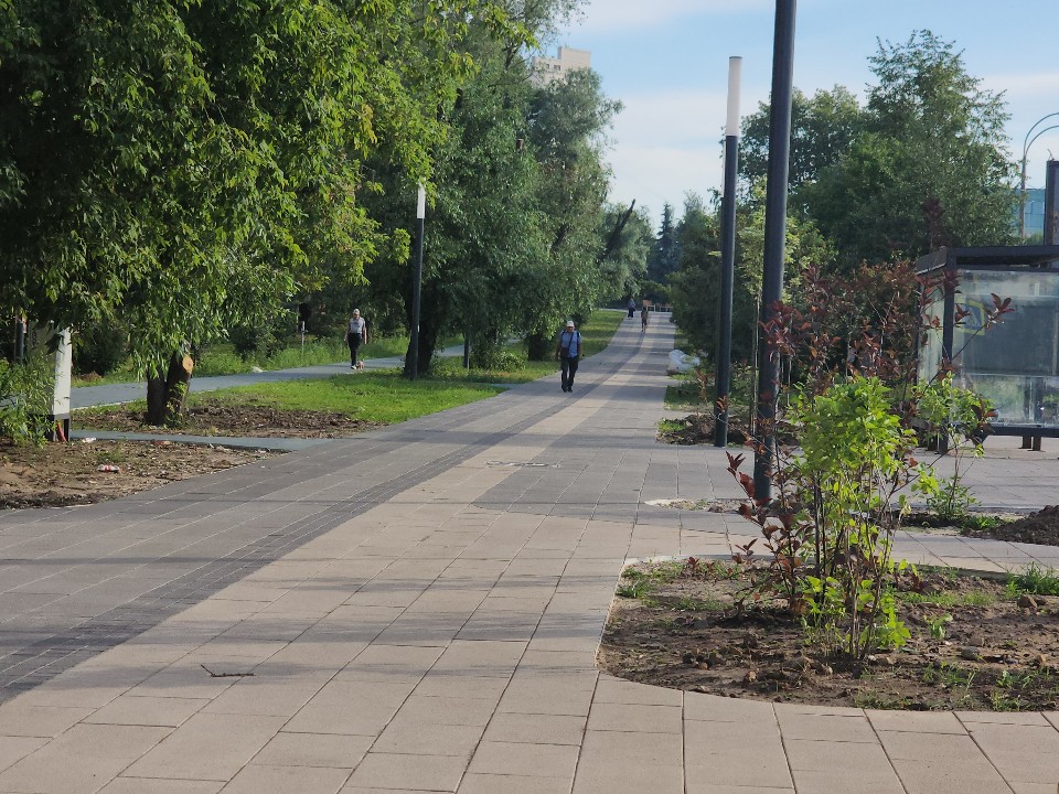 Сквер на Московском проспекте в Пушкино преобразится этим летом