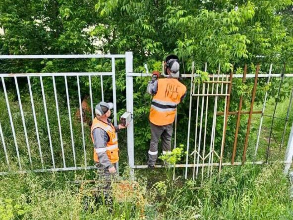 В Подмосковье подходы к рельсам перекроют бетоном и колючим кустарником