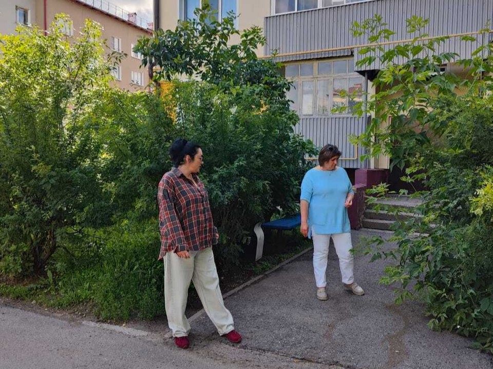 В Шаховской на Шамонина проведут опиловку кустов