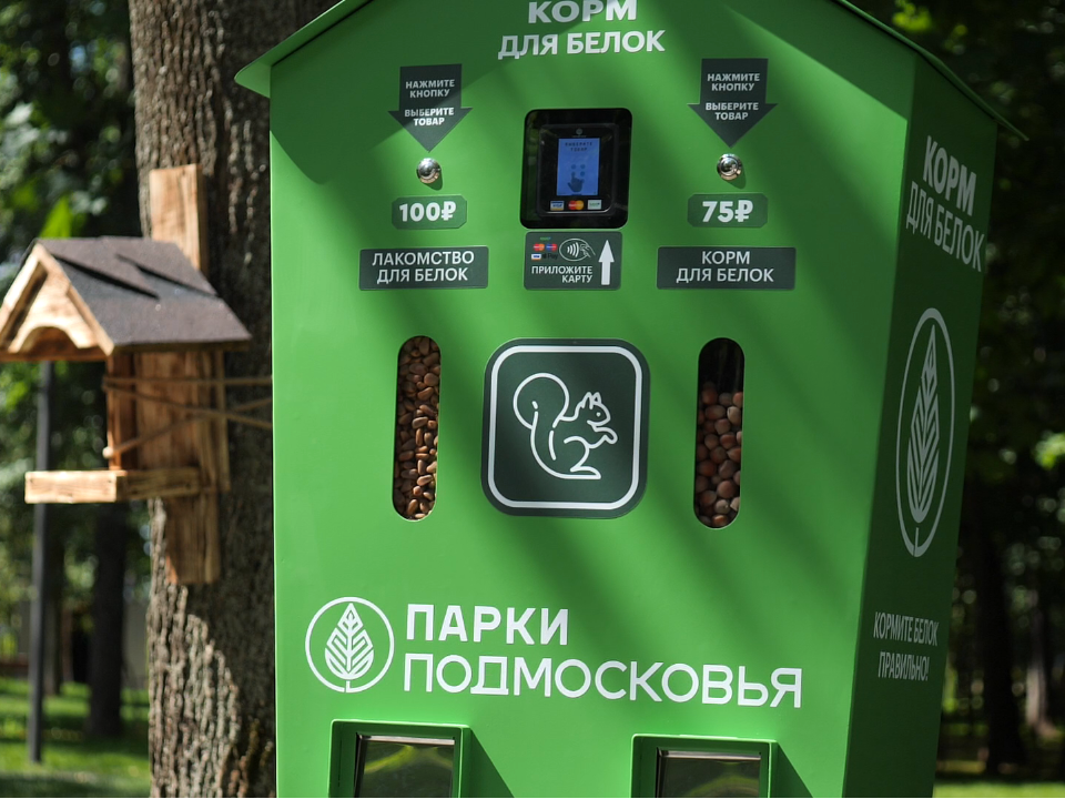 Парк «Наташинские пруды» в Люберцах обретает новый облик