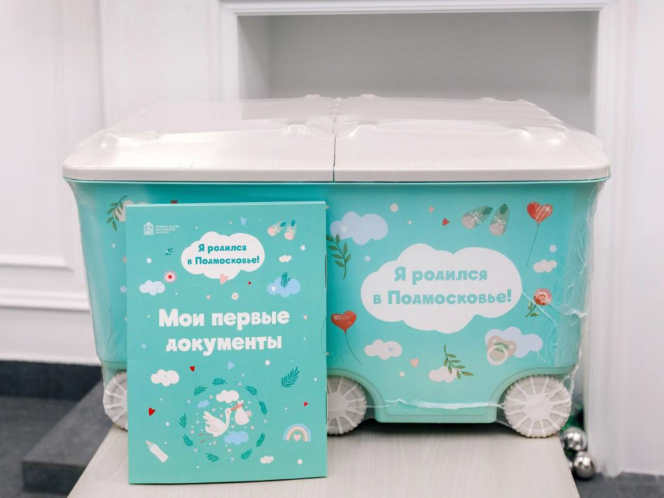 Родители Подмосковья выбирают подарок или ₽20 тыс. за рождение ребенка