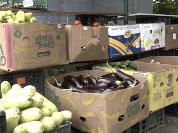 В Ивантеевке пресекли несанкционированную торговлю фруктами и овощами