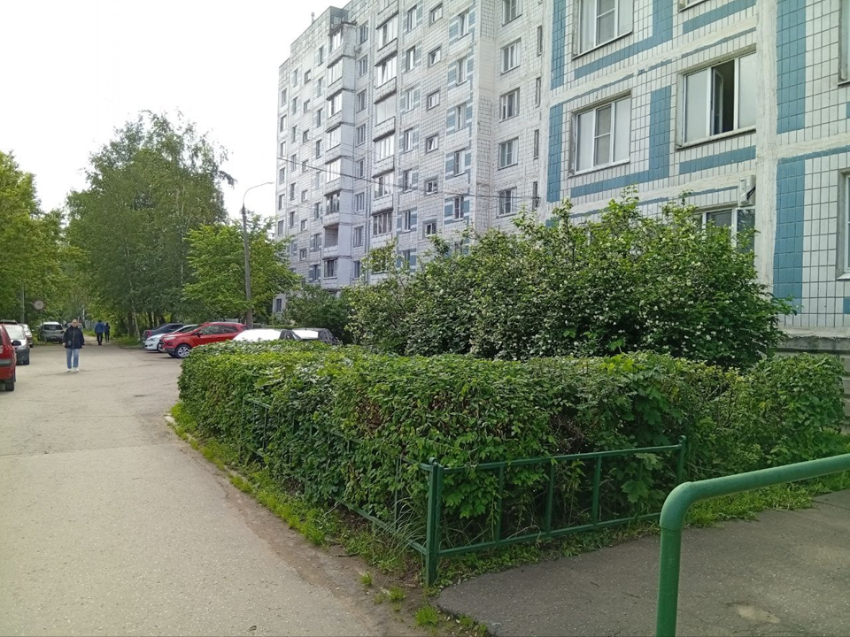 Управляющая компания привела в порядок кустарники у жилого дома в Сергиевом Посаде