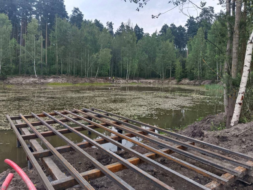 В Парковском лесу Орехово-Зуева  построят пирс у озера