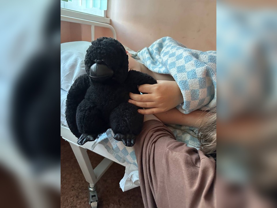 Мишонова посетила ребенка, на которого напал мужчина с ножом в Сергиевом Посаде