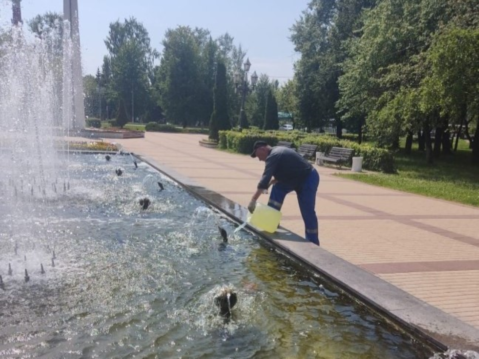Кто и как чистит фонтаны в Чехове