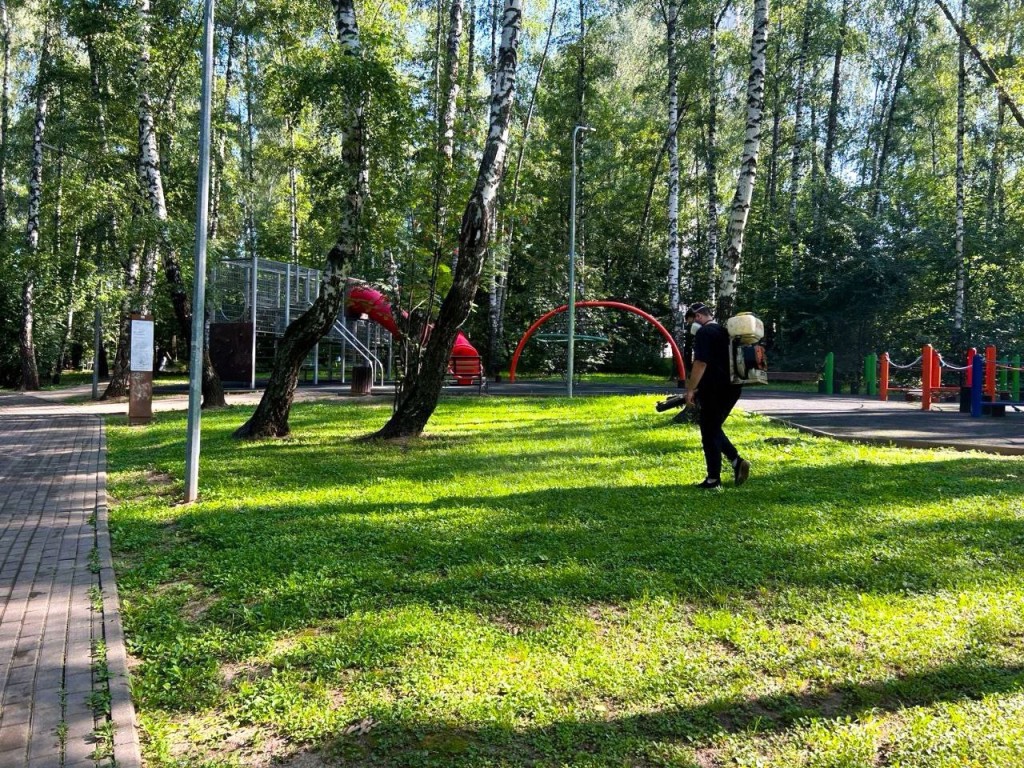 В Ленинском округе шесть парков обработали от клещей