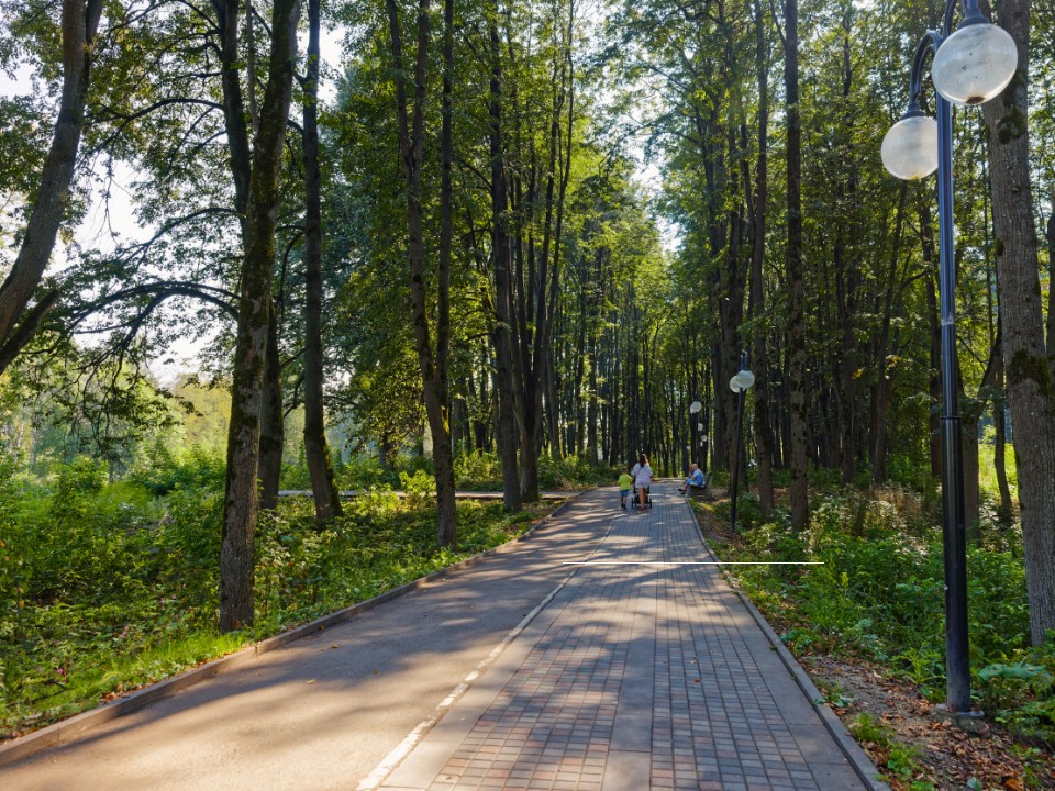 Новая летняя фотозона появилась в Березовом парке Клина