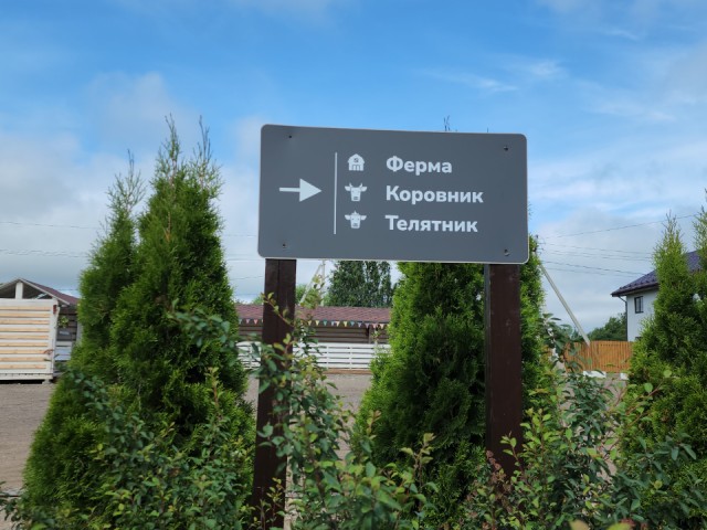 Фермер из Истры строит инновационное сырное хранилище с роботами