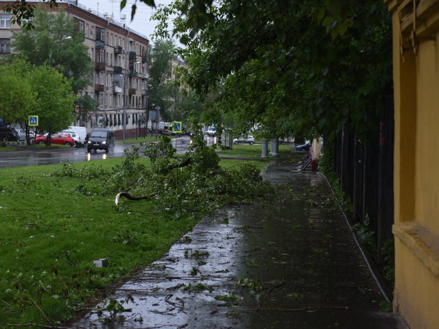 Склон крепостного вала Верейского городища восстановят после ливней