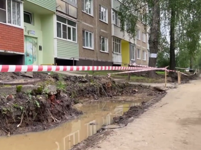 Деревья или тротуар: в Егорьевске разгорелся спор между жителям, что нужнее во дворе