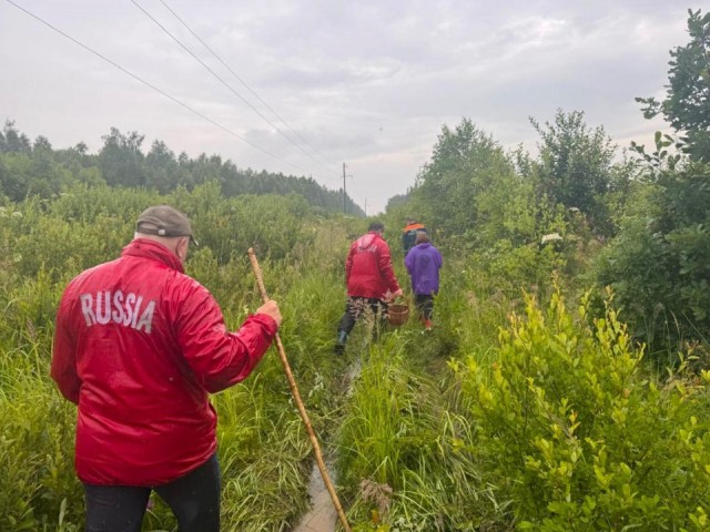 Спасатели разыскали троих грибников, заблудившихся в лесу в Рузском округе