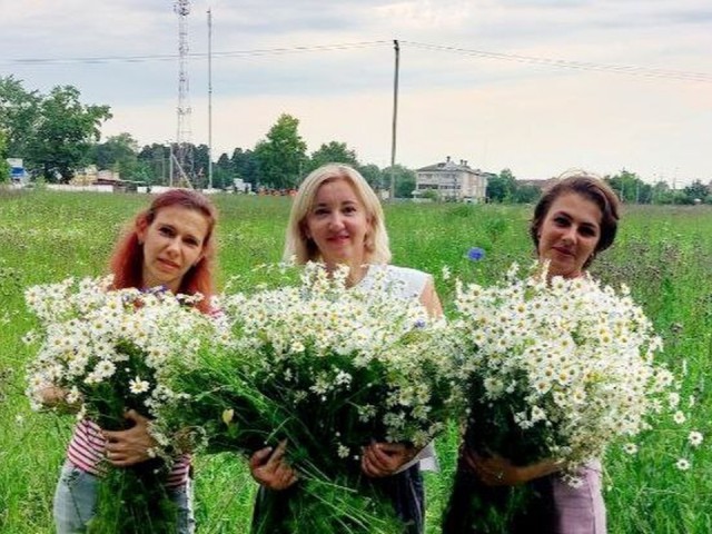Ротонду парка в Лыткарине украсят ромашками накануне Дня семьи, любви и верности