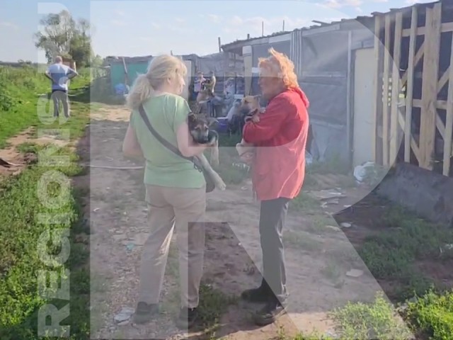 В Люберцах полиция закрыла подозрительный собачий питомник