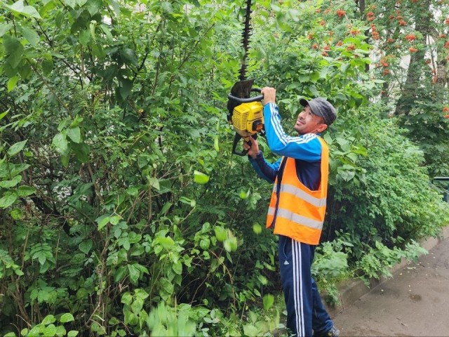 В микрорайоне Депо Лобни специалисты косят траву и обрезают ветки деревьев во дворах многоквартирных домов