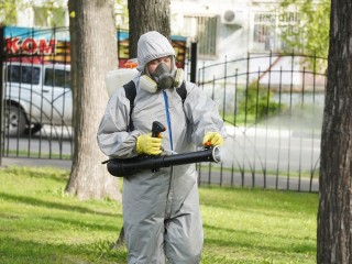 Парки в Свердловском и Лосино-Петровском обработают от клещей