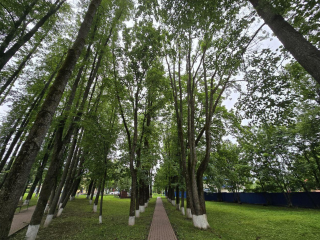 Сквер культурно-досугового центра в Можайске изменится до неузнаваемости