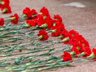 В День ветеранов боевых действий в Талдоме возложили цветы к памятнику героям