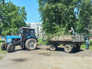 В Электростали убрали деревья, поваленные ветром во время грозы