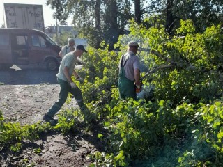В Богородском округе устранили последствия разгулявшейся стихии
