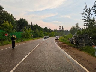 Дорогу в деревне Сокольники расчистили после падения дерева