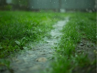 Месячная норма по осадкам в Бронницах перевыполнена почти вдвое