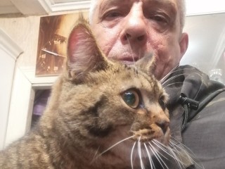 Кота, двое суток просидевшего на дереве, спасли жители Русавкино-Романово