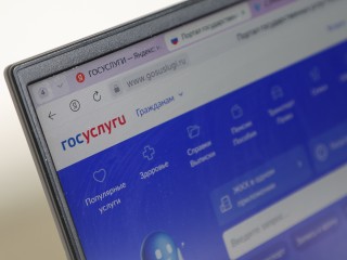 «Госуслуги» могут стать площадкой для безопасной благотворительности