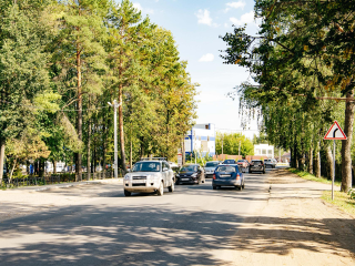 В Пушкинском округе обновили дорожные знаки и уличное освещение