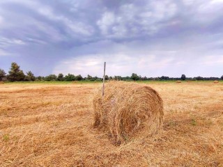 Когда в Подмосковье вернется сухая погода и жара +30°С
