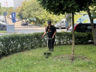 На центральных улицах Видного коммунальщики покосили траву
