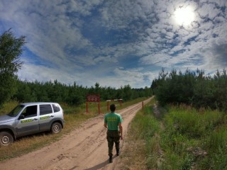 Поиски мальчика и компании подростков организованы в лесах Подмосковья