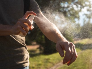 Если достали комары, помогут эти простые средства