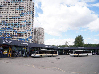 Жители Подмосковья за месяц скачали 118 тыс. электронных расписаний автобусов