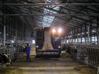 Начинающих аграриев Подмосковья пригласили на грантовый конкурс «Агростартап»