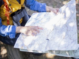 В Шаховской ищут пропавшего в лесу пожилого мужчину