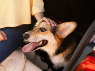 В Балашихе водитель автобуса выходит в рейс с персональной охраной