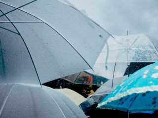 Жителей Солнечногорска предупредили о сильном ветре и грозе